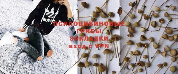 apvp Лихославль