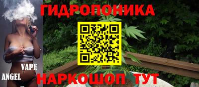 крисы Донской