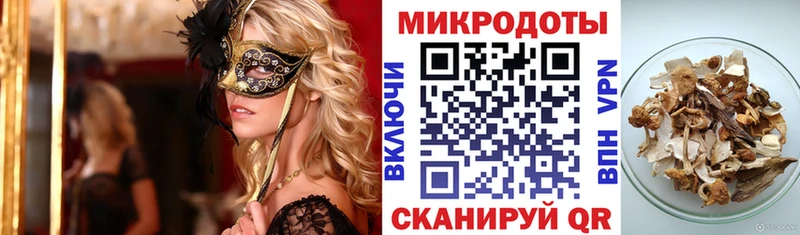 Галлюциногенные грибы мицелий  магазин продажи наркотиков  Петропавловск-Камчатский 