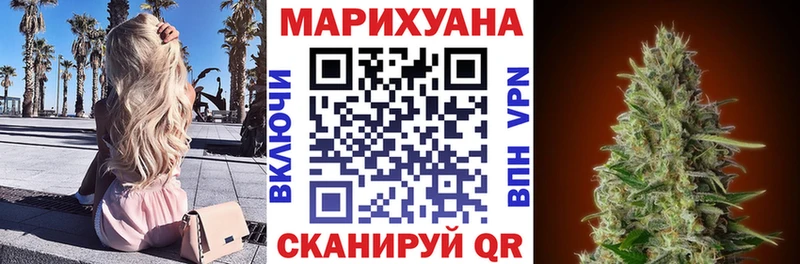 продажа наркотиков  Петропавловск-Камчатский  Канабис OG Kush 